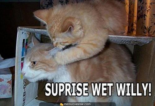 suprise-wet-willy.jpg
